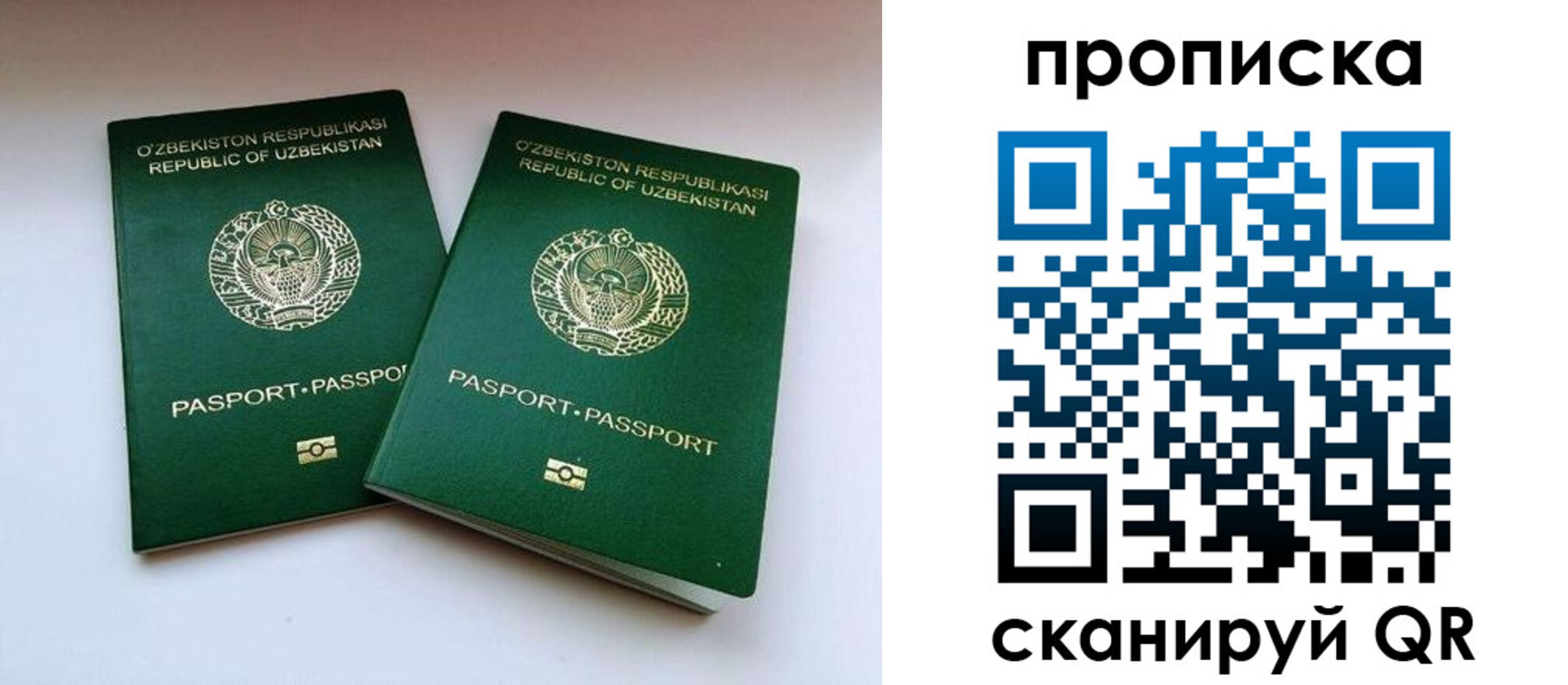 прописка поиск в Калининграде